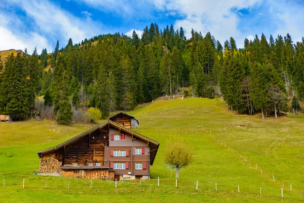 Traditional Swiss Style Houses Green Hills Forest Alps Area Switzerland — Stockfoto