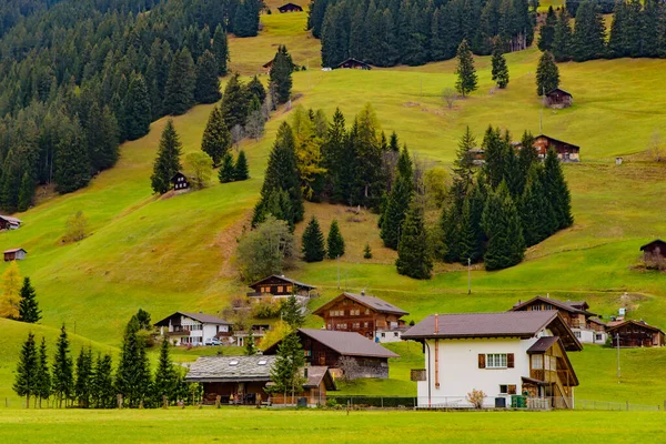 Traditional Swiss Style Houses Green Hills Forest Alps Area Switzerland — Φωτογραφία Αρχείου