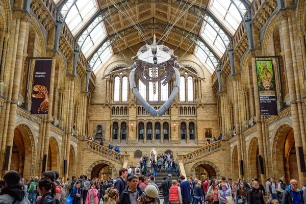 Das Innere Des Natural History Museum Mit Walskelett London Vereinigtes — Stockfoto