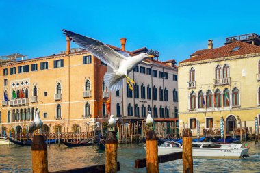 Venedik Karnavalı sırasında