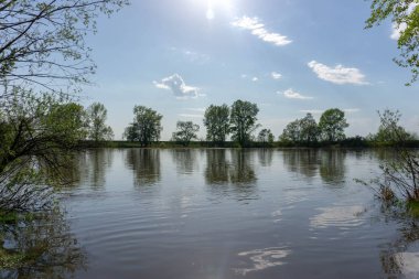 doğa kış uykusundan uyanır