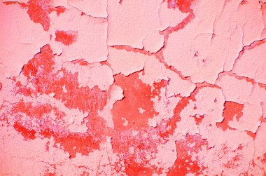 Eski evin duvarının yakın çekim bir parçası. Pembe arka plan. Beton bir yüzey üzerinde sıva soyma. Boyadaki çatlaklar.