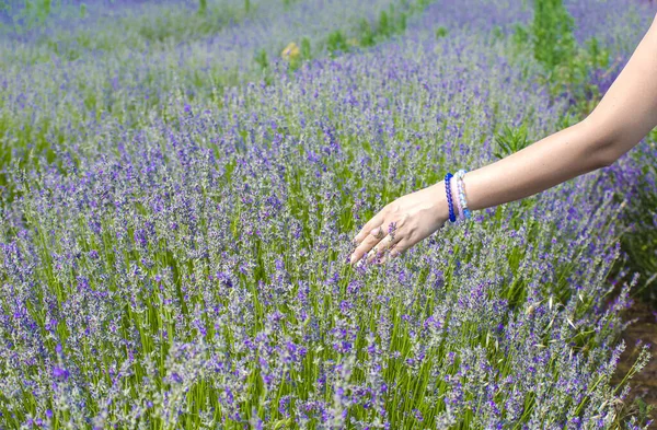 Hands White Young Woman Close Female Hand Bracelets Gems Lavender — Stock Photo, Image