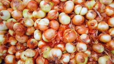 Dükkanda ya da pazarda taze soğan. Yakın plan..