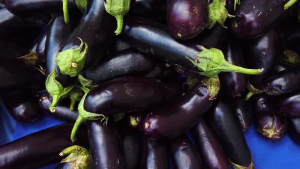 Fresh dark purple eggplant on store or bazaar counter. Close-up. — Stock Video