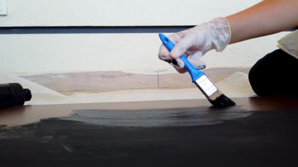 Jovem mulher pinta marrom placa de madeira preta com escova. Close-up . — Vídeo de Stock