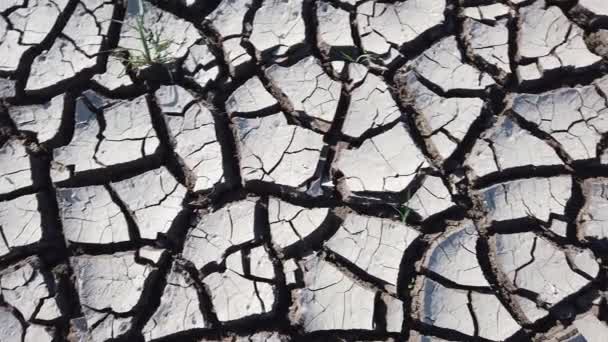 Grijs droog gebarsten aarde. Woestijn. Diepe grote scheuren op gedehydrateerd bodemoppervlak. — Stockvideo