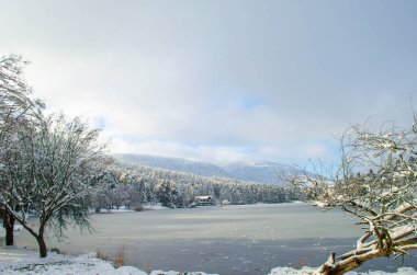 Güzel kış manzarası. Mavi gökyüzü. Karanlık ve aydınlık bulutlar. Buz kaplı göl. Şehir parkındaki donmuş gölet kıyısında karla kaplı bir orman. Seçici odaklanma. Boşluğu kopyala.