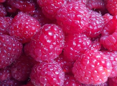 Ahududu berry için bir arka plan kırmızı bir gölge ile yakın parlak pembe