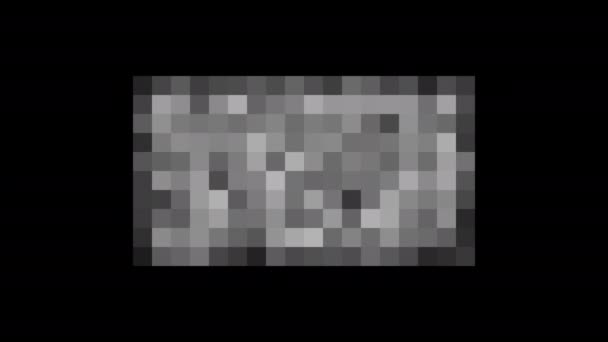 Pixel censored. Black censor bar concept. Censorship rectangle. Abstract black and white pixels geometric background. Animation with Alpha transparent background for easy use in your video. Loop — Stock Video