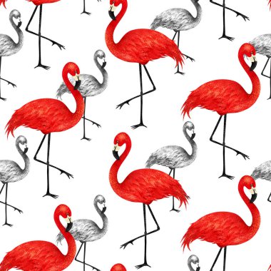 Popüler modern tarzı ile kırmızı ve siyah flamingo yazdırma. Son moda dikişsiz desen.