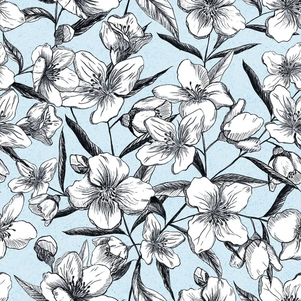 Dikişsiz desen siyah arka plan üzerine Yasemin çiçek. El karakalem. Tasarım tekstıl