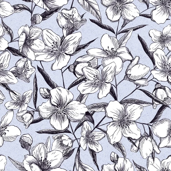 Dikişsiz Desen Siyah Arka Plan Üzerine Yasemin Çiçek Karakalem Tasarım — Stok fotoğraf