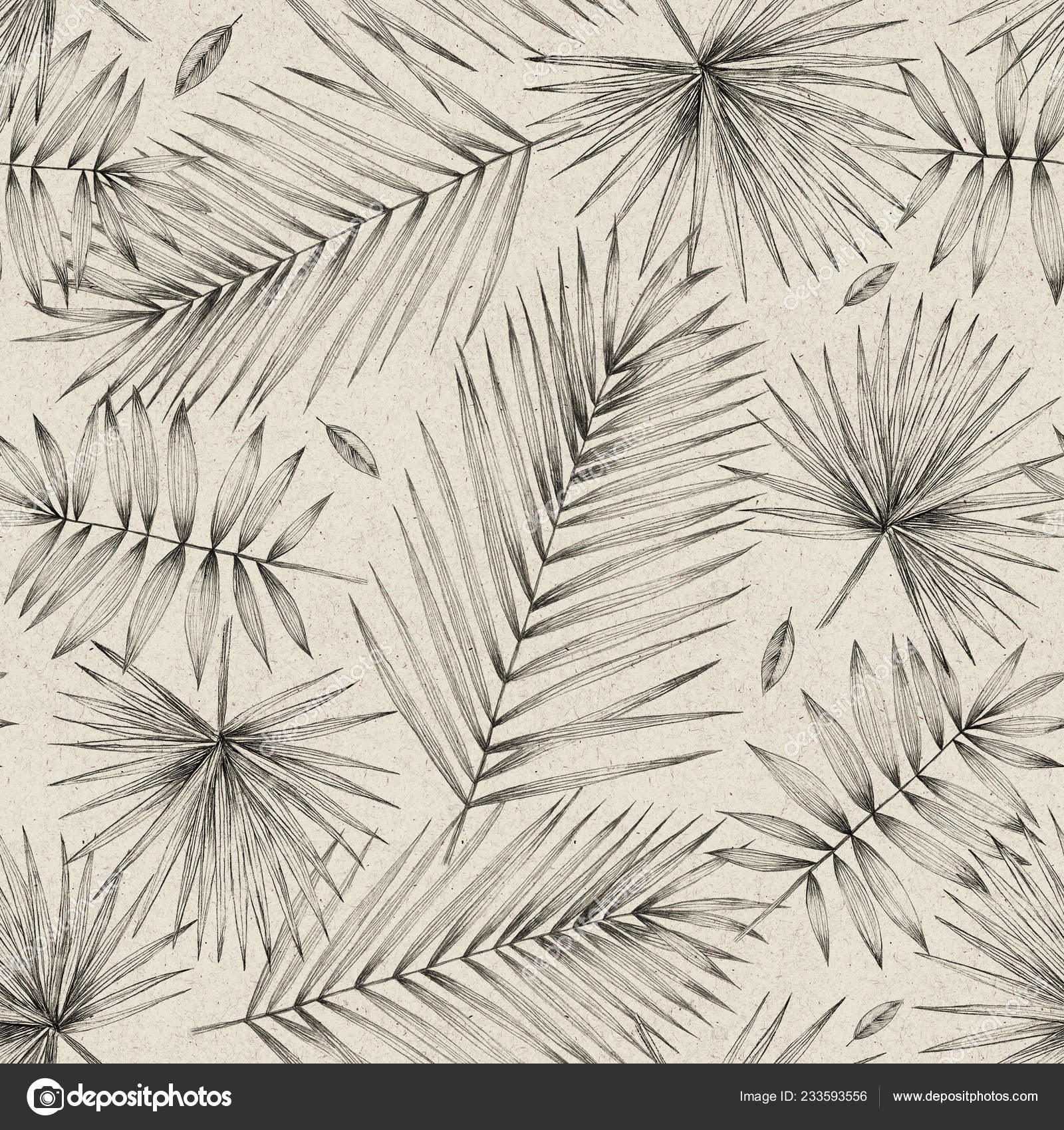 Illustration Vintage Feuilles Transparent Modèle Avec Palme
