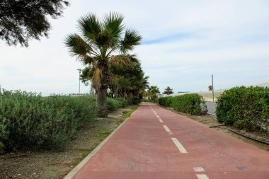 Yol ve palmiye ağaçlarının yanında Bisiklet parça