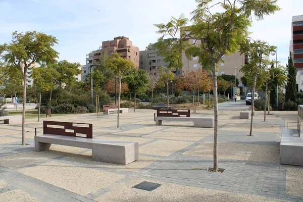 Banques Ciment Jeunes Arbres Dans Parc Récréatif Ville — Photo