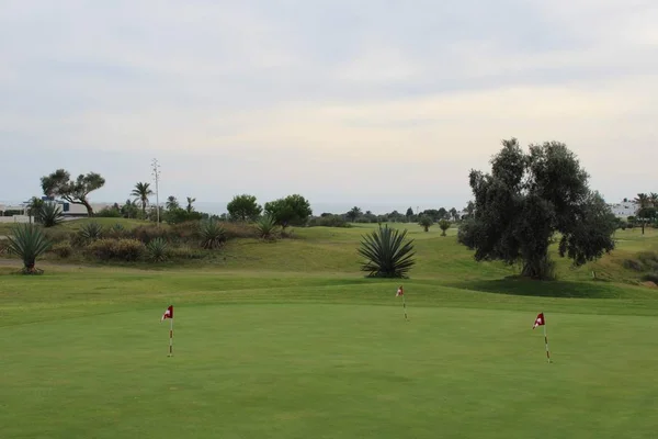 Yeşil Çim Golf Sahası Bulutlu Gökyüzü Bayrakları — Stok fotoğraf