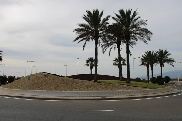 Κυκλικός Κόμβος Άμμο Χλόη Και Φοίνικες Ένα Δρόμο Από Την — Φωτογραφία Αρχείου