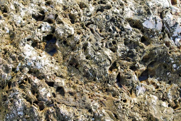 Rüzgar ve dalgalar üzerinde İspanya kıyısında tarafından aşınmış dağ taş