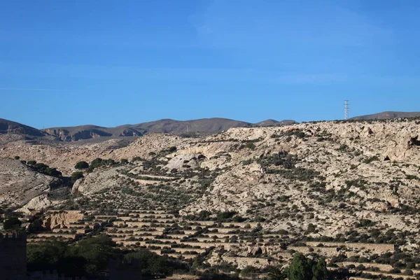 Vista Superior Colina Con Plantación Olivos — Foto de Stock