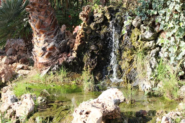 Маленький Водопад Падает Камни Растения Парке Отдыха — стоковое фото