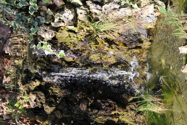 Невеликий Водоспад Падає Камені Рослини Парку Відпочинку — стокове фото