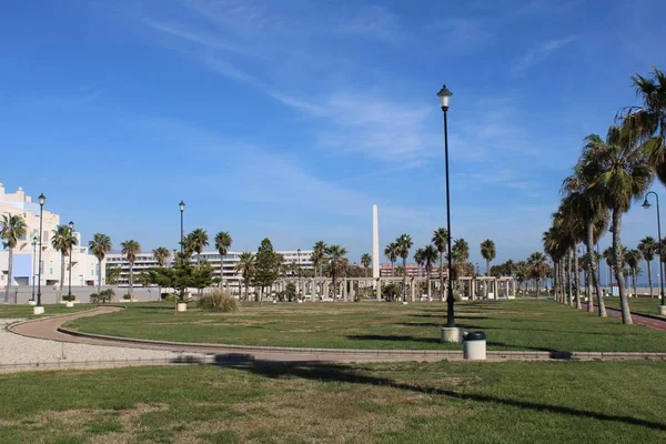 Boardwalk Χώρους Πρασίνου Φοίνικες Και Μονοπάτι Ποδήλατο — Φωτογραφία Αρχείου