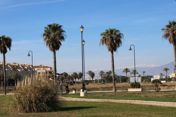 Boardwalk Χώρους Πρασίνου Φοίνικες Και Μονοπάτι Ποδήλατο — Φωτογραφία Αρχείου