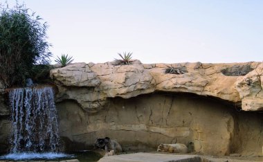 Almeria dağlarında küçük şelale peyzaj