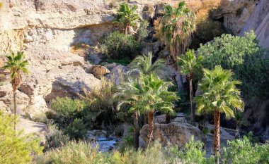 Tabernas Tema Parkı İspanya, Almeria üzerinde 30/12/2018 fotoğraf