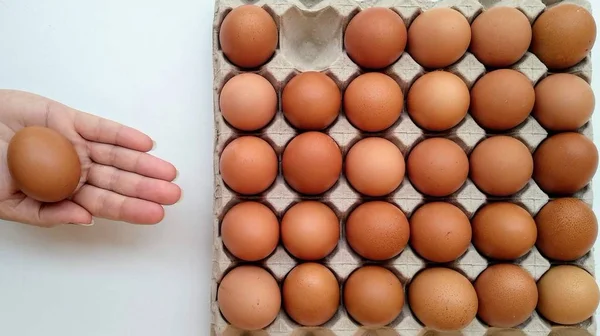 Carton of fresh brown eggs, of chicken and hand holding an egg