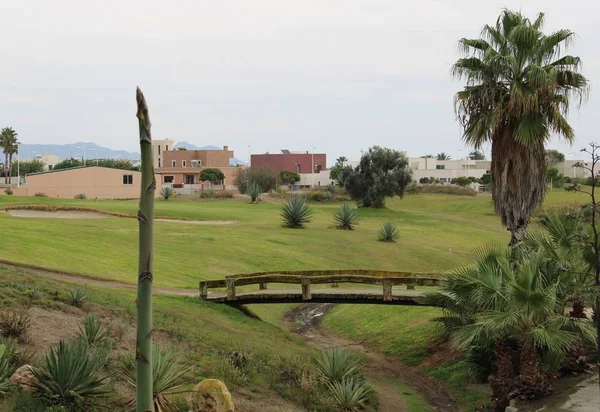 Lake Meeuwen Vol Met Bergen Achtergrond Provincie Almeria Spanje — Stockfoto