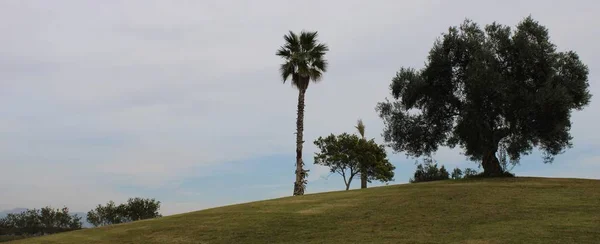 西班牙阿尔梅里亚省高尔夫球场上的绿色草坪和旗帜以及多云的天空 — 图库照片