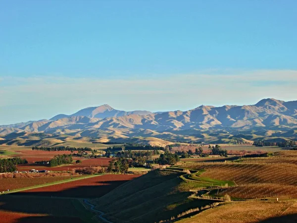 bağ içine south Island - Yeni Zelanda