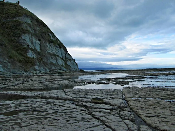 Doğu kıyısı - Yeni Zelanda