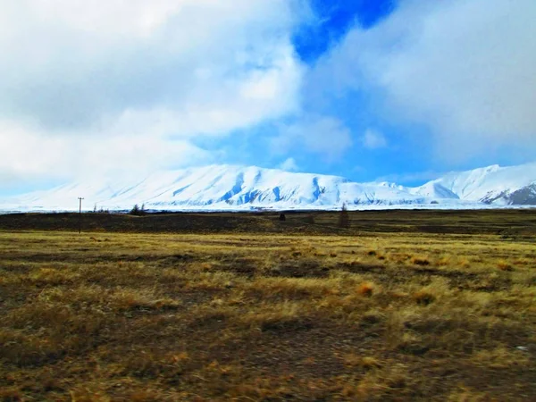 vahşi yakınındaki lake Tekapo - Yeni Zelanda