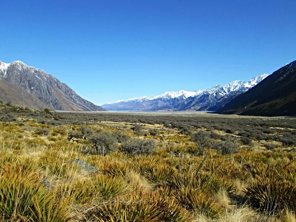 Efendisi Yüzük Vadisi, Yeni Zelanda