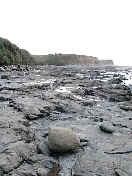 Şaşırtıcı görünümü, göller, Yeni Zelanda
