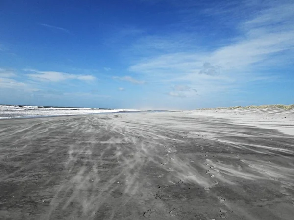 South Island beach - Yeni Zelanda