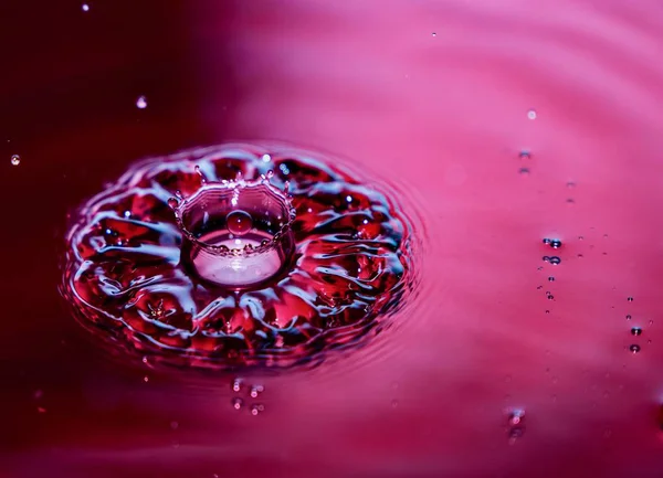 Kırmızı şarap su damlası.