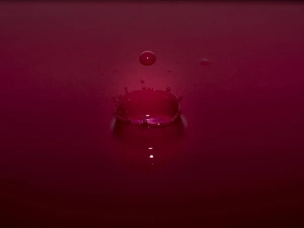 Tırmanacak bir ağaç küçük sincap. 