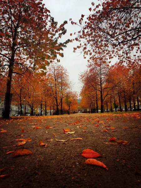 Jesienny Widok Ulicy Finlandii — Zdjęcie stockowe