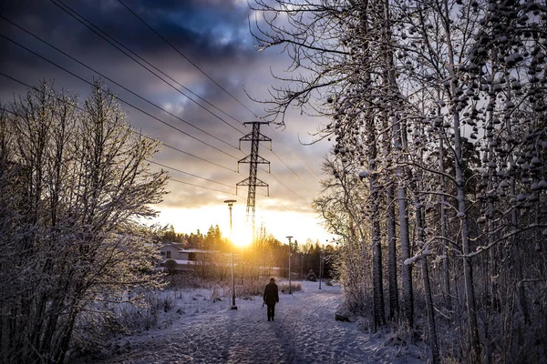 Gündoğumu zaman kışın, Finlandiya.