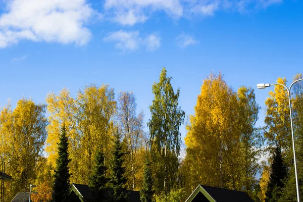 Finlandiya'da sonbahar sokak görünümü.