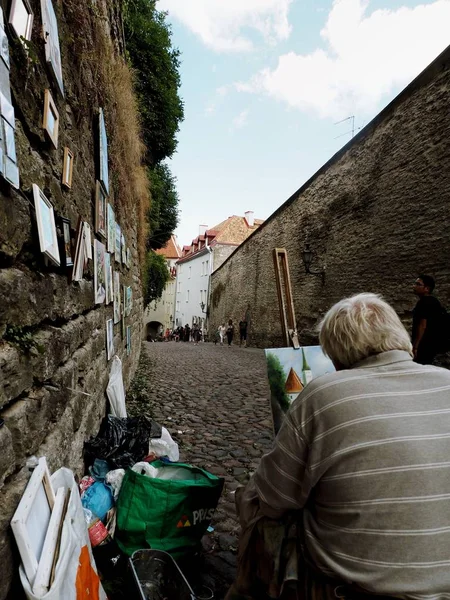 Sokak sanatçı Tallinn, Estonya.