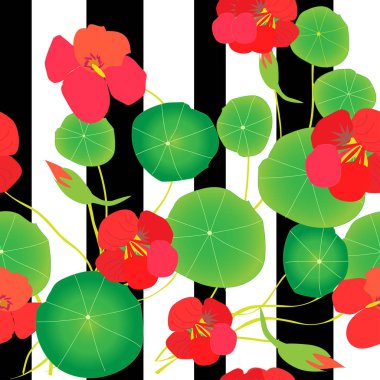 A beautiful seamless pattern with orange nasturtiums and green leaves on a background of black and white stripes. Apply for fabrics. clipart