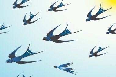  RGB orada beyaz bir arka plan üzerinde harika mavi yutar. Sen-ebilmek kullanma bu Dikişsiz desen kumaş ve kartpostal için.