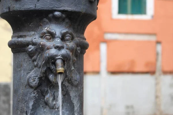 Su çeşme Venedik, İtalya