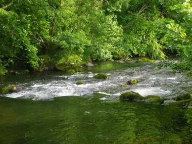 Bir Galler kırsal sahne