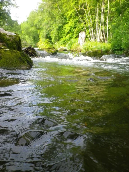 Bir Galler kırsal sahne